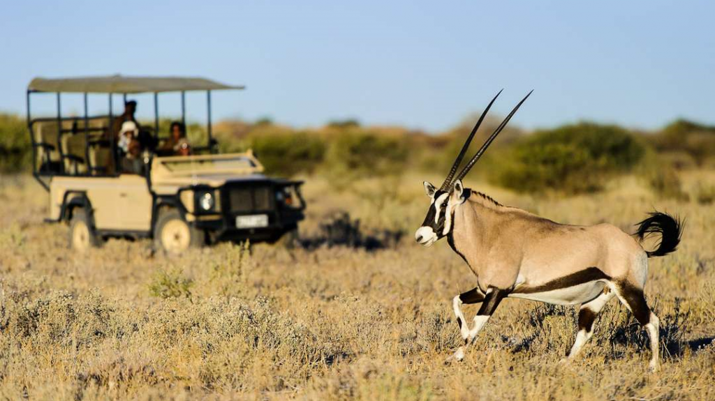 safari en famille au Botswana