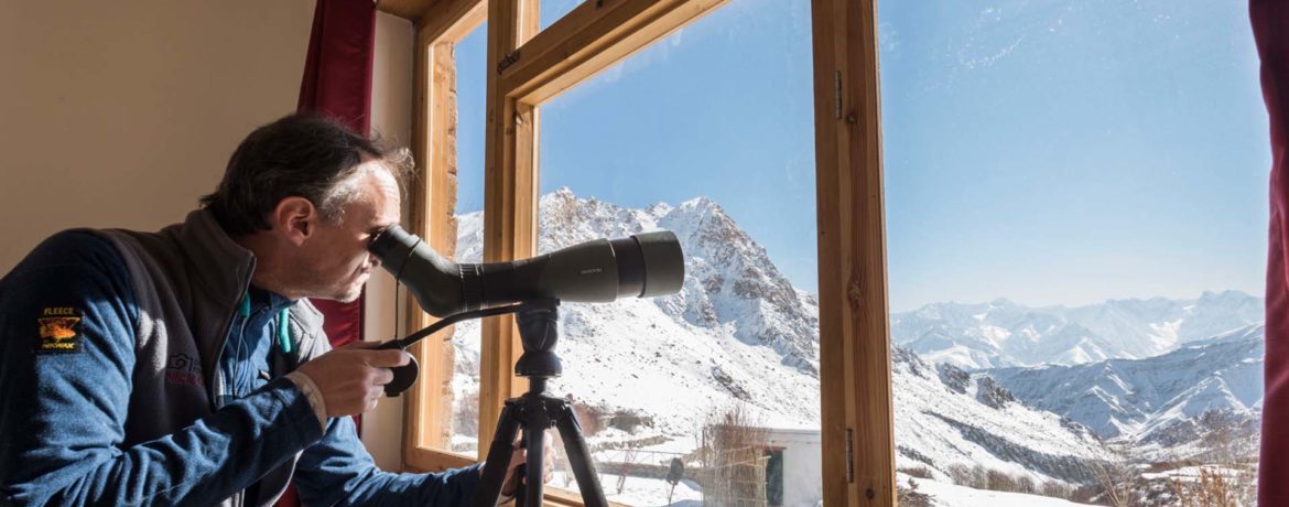 snow-leopard-ladakh-guest-telescope