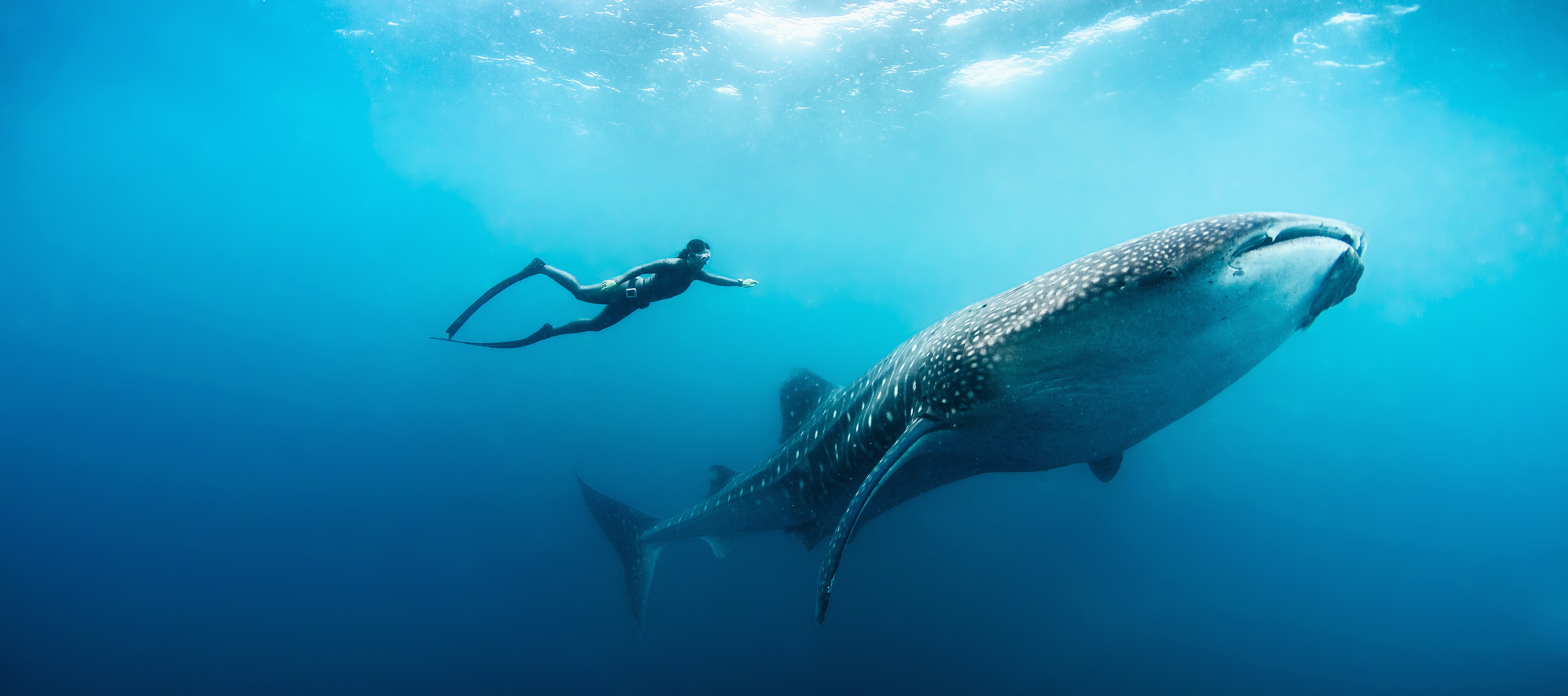 Voyage de luxe sur mesure aux Maldives