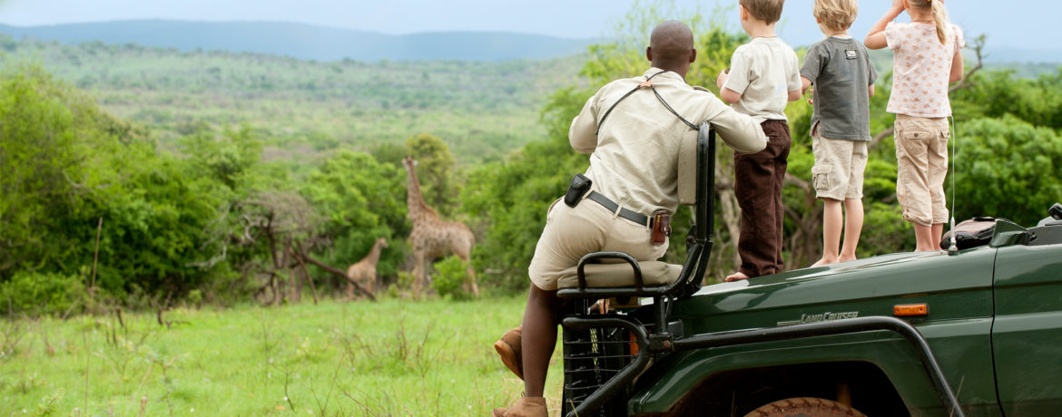 safari mozambique