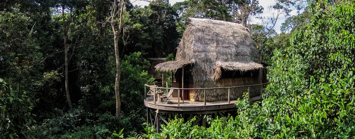 écolodge de luxe au Congo Ngaga