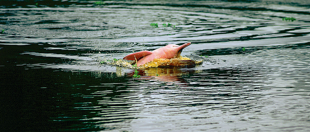 Croisière de luxe au Pérou