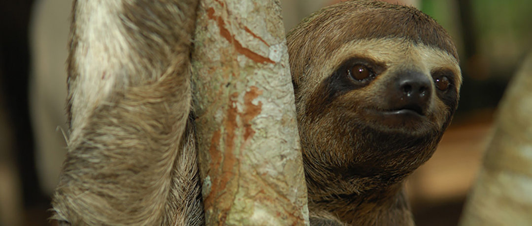 Croisière de luxe au Pérou