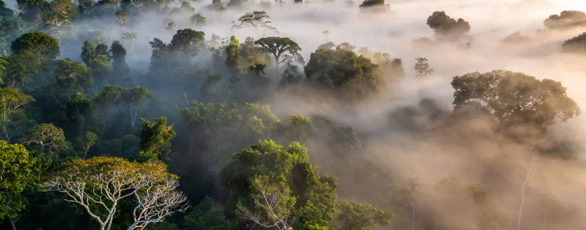 voyage de luxe en amazonie